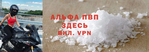 ГАЛЛЮЦИНОГЕННЫЕ ГРИБЫ Абаза