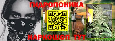 амф Донской