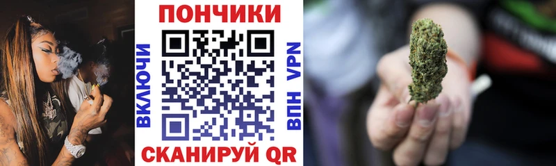 Бошки Шишки индика  где найти наркотики  гидра ссылки  Сорочинск 